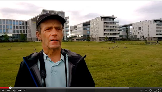 Markku Mikkola-Roos kertoo valkoposkihanhien määrästä pääkaupunkiseudulla 2016